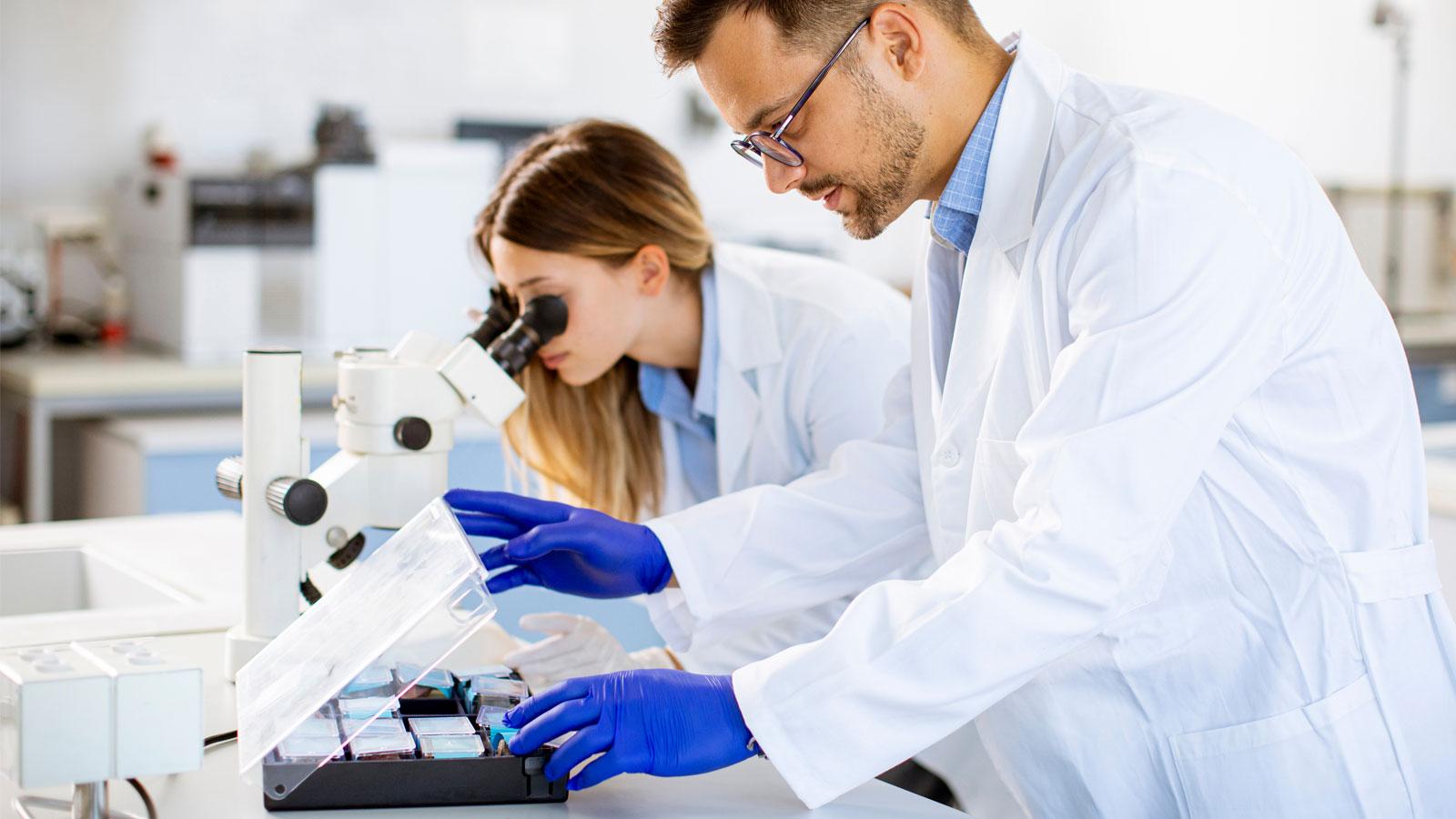 Laboratory mineral analysis